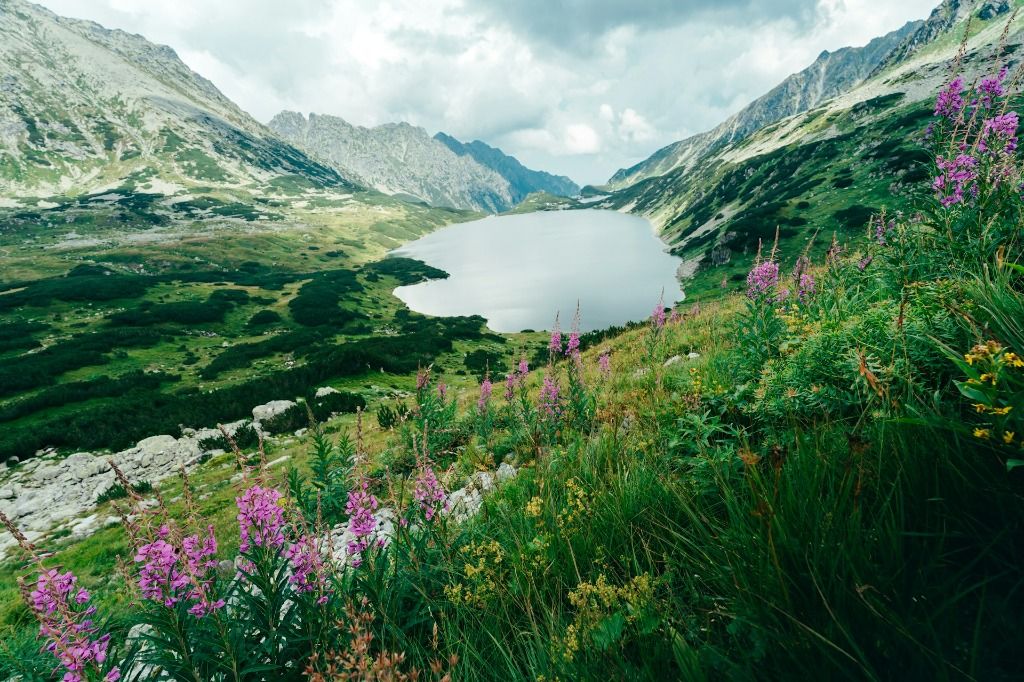 Poland Nature