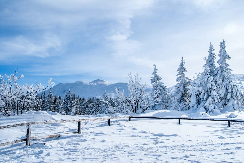 Poland Winter